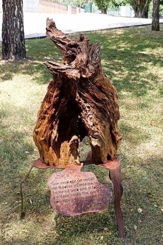 Escultura Pericó
